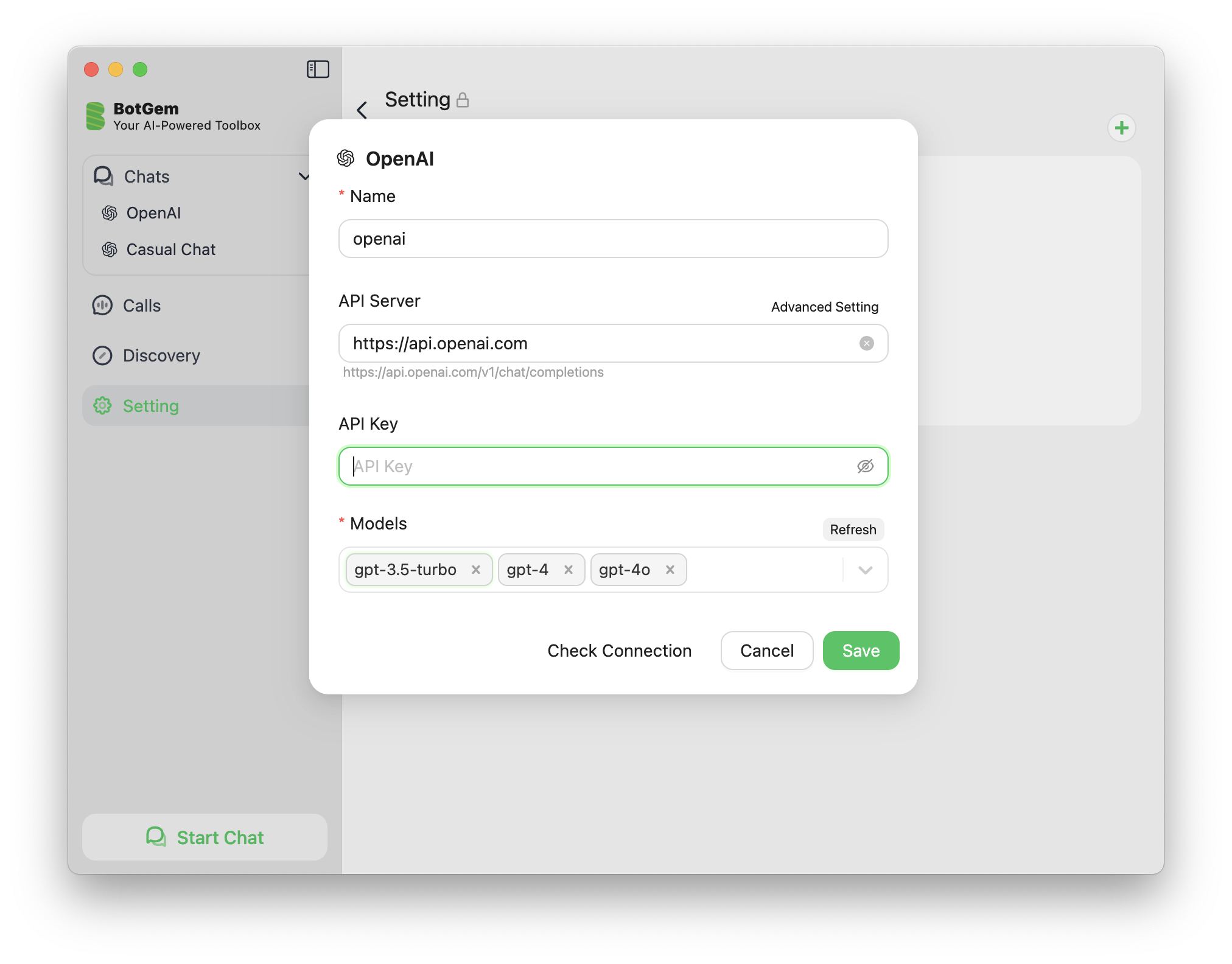 OpenAI Settings Interface